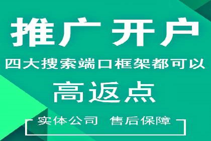 案例对比：不同竞价广告平台的优劣